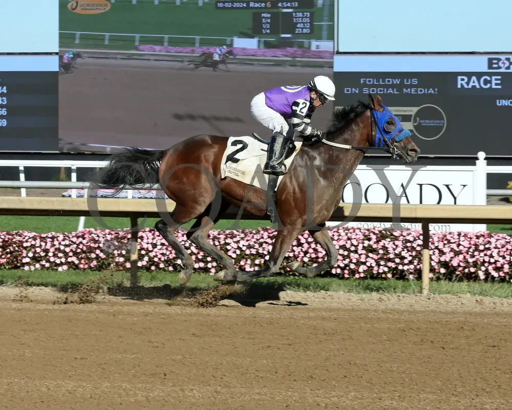 Kingsbury Road - Itoba Stallion Season 10-02-24 R06 Horseshoe Indiana Finish 01 Sammantha Pagels