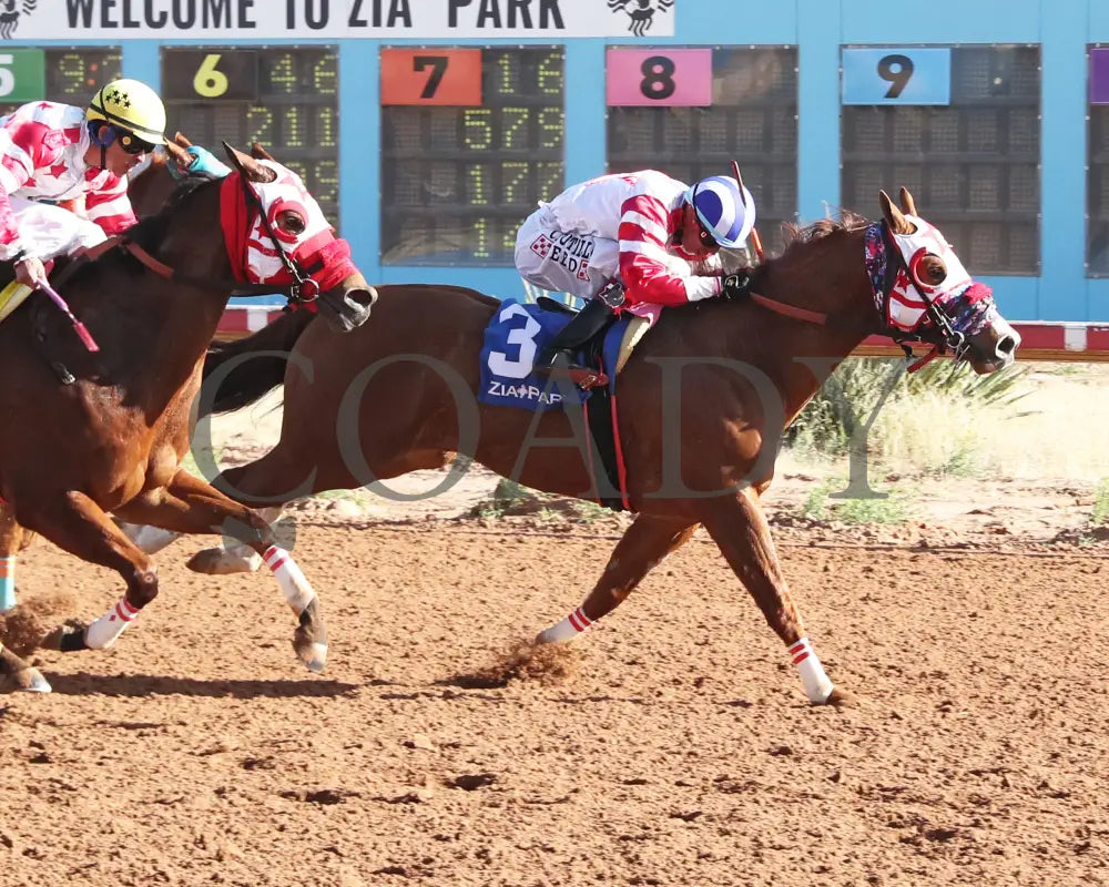 Kj Wildthang - Zia Park Quarter Horse Invitational Stakes 12-15-24 R07 Finish