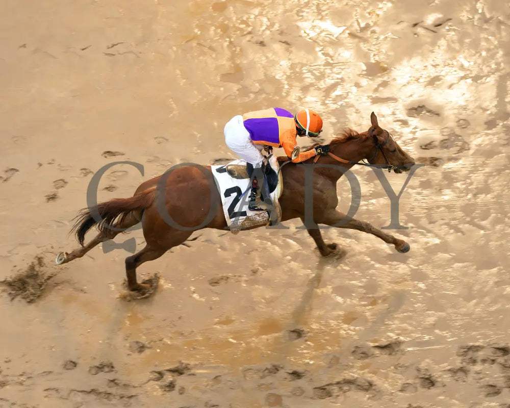 KOPION - 050325 - Race 10 - CD - Aerial Finish 01 Churchill Downs