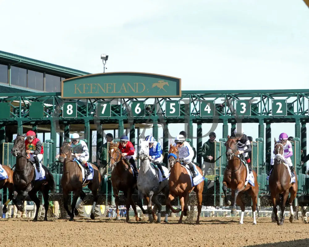 LA CARA - The Central Bank Ashland - 04-07-25 - R09 - KEE - Start 03 Keeneland