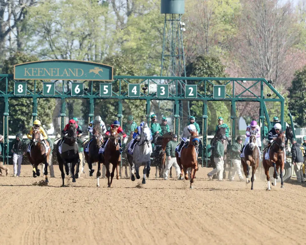 LA CARA - The Central Bank Ashland - 04-07-25 - R09 - KEE - Start 04 Keeneland