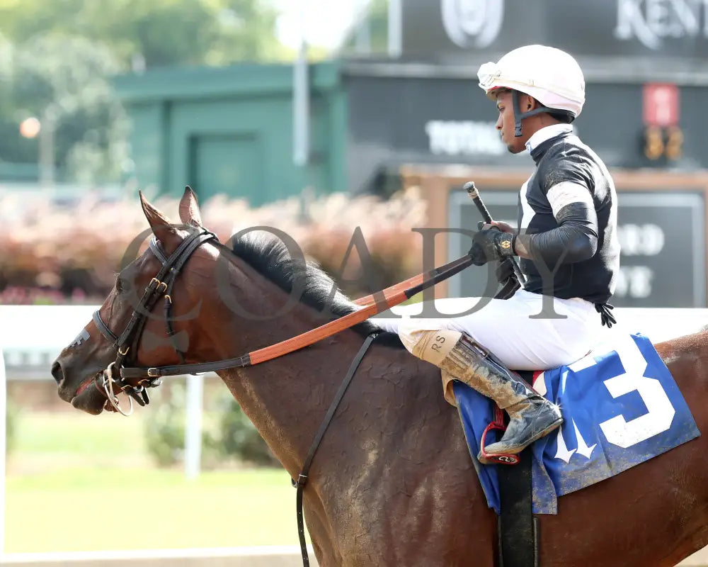 La Cara - The Pocahontas G2 56Th Running 09-14-24 R08 Cd Come Back 02 Churchill Downs