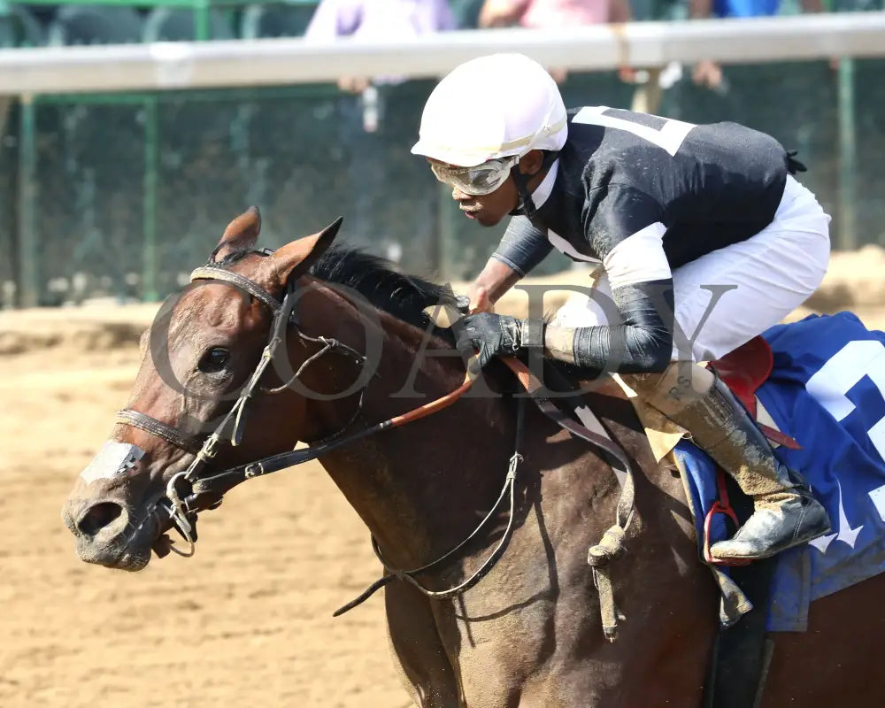 La Cara - The Pocahontas G2 56Th Running 09-14-24 R08 Cd Inside Finish 01 Churchill Downs