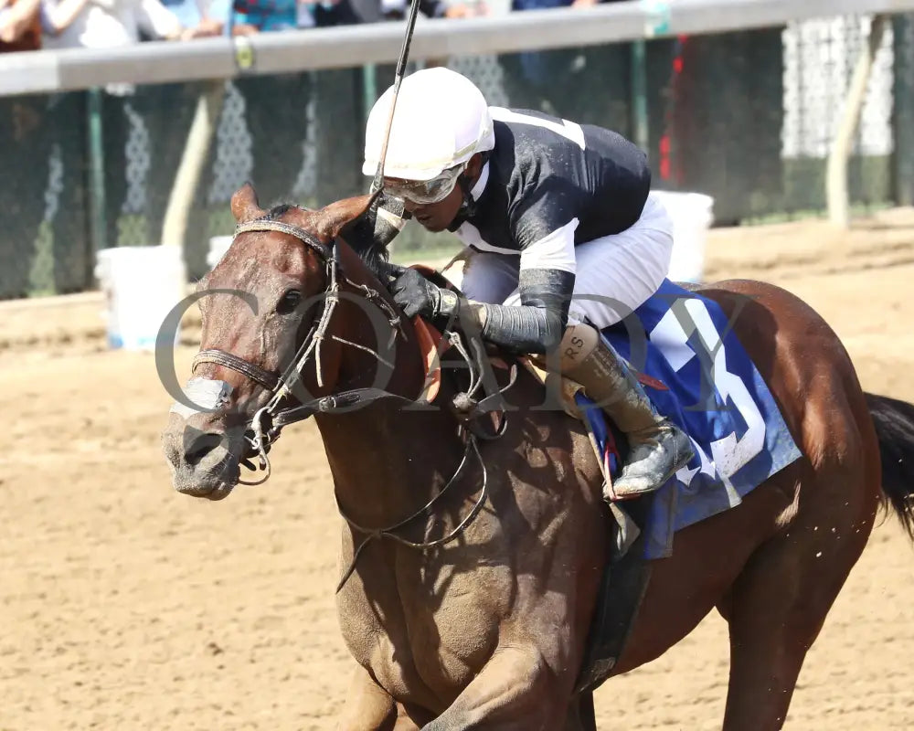 La Cara - The Pocahontas G2 56Th Running 09-14-24 R08 Cd Inside Finish 02 Churchill Downs