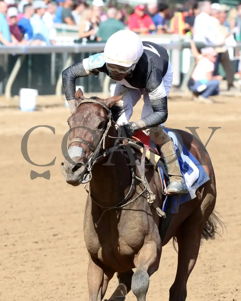 La Cara - The Pocahontas G2 56Th Running 09-14-24 R08 Cd Inside Finish 03 Churchill Downs