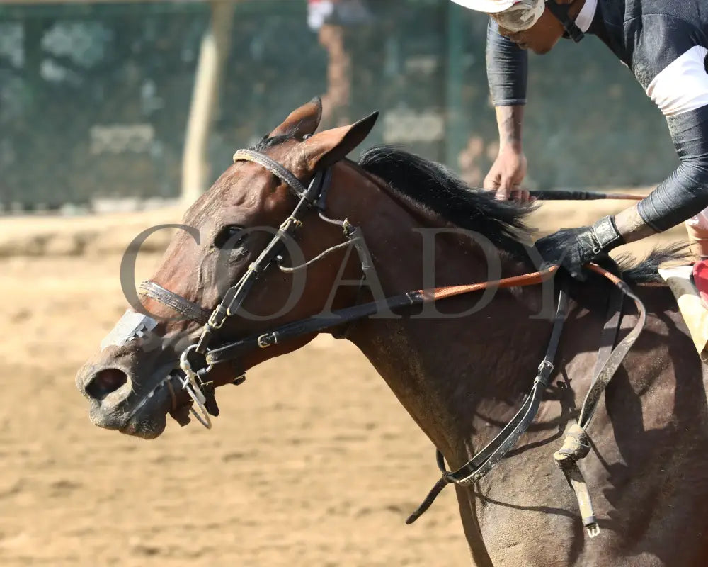 La Cara - The Pocahontas G2 56Th Running 09-14-24 R08 Cd Inside Finish 04 Churchill Downs