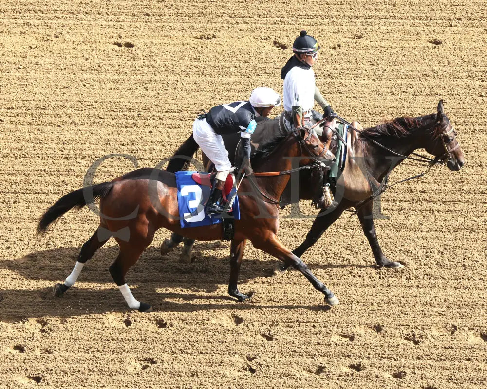 La Cara - The Pocahontas G2 56Th Running 09-14-24 R08 Cd Post Parade 01 Churchill Downs