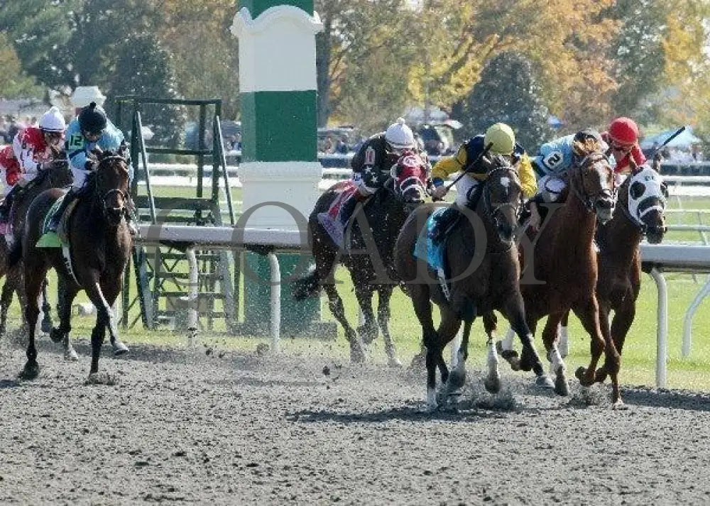 Lady Citron - 1 102211 Race 02 Keeneland