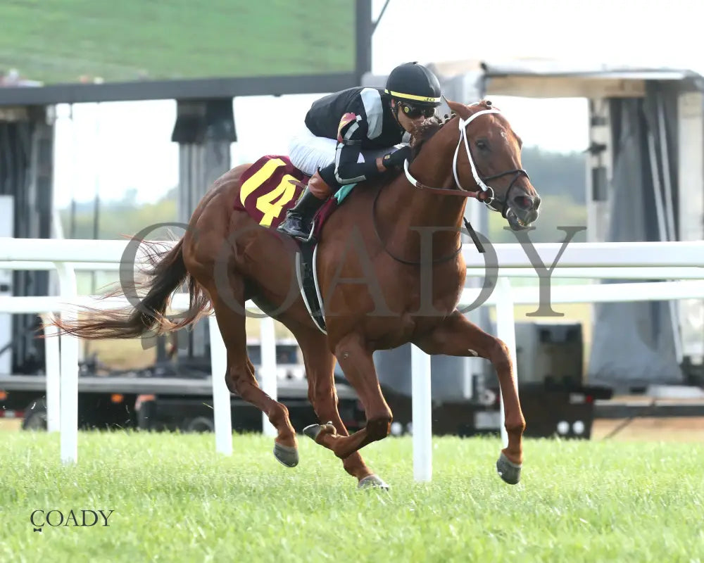 LAGYNOS 082825 Race 10 KD Finish 03 Kentucky Downs
