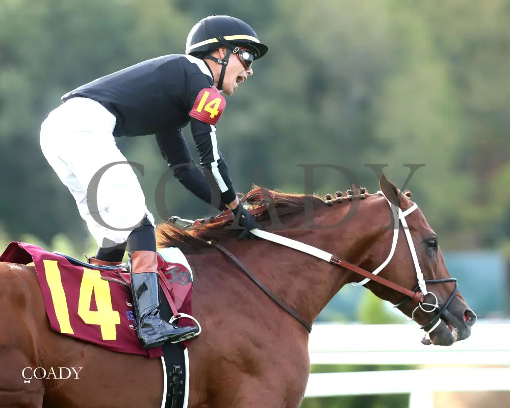 LAGYNOS 082825 Race 10 KD Gallop Out 02 Kentucky Downs