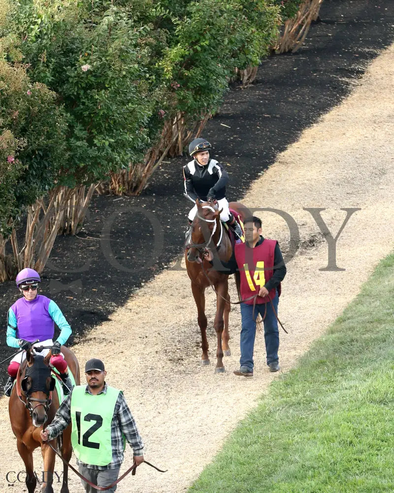 LAGYNOS 082825 Race 10 KD Paddock 03 Kentucky Downs