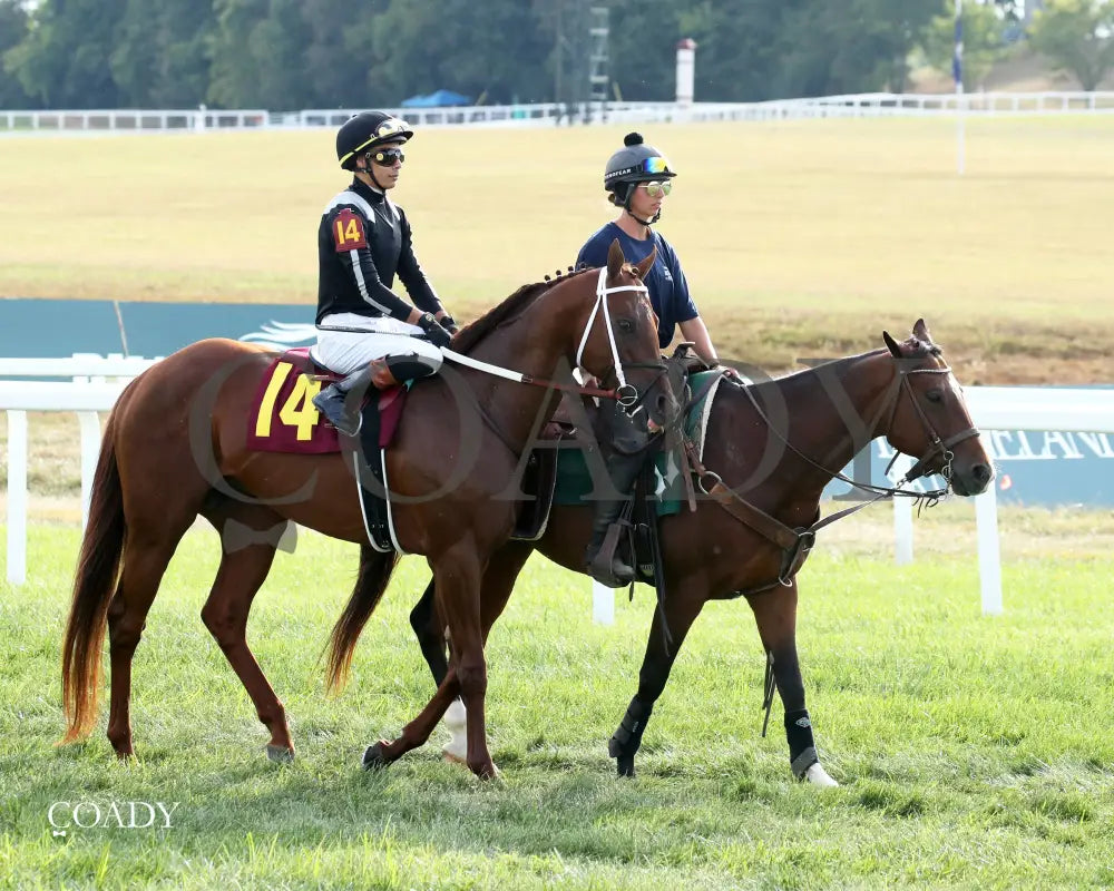 LAGYNOS 082825 Race 10 KD Post Parade 01 Kentucky Downs