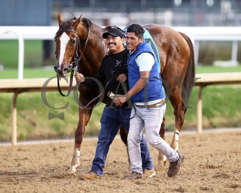 Laughing Boy - 111624 Race 10 Cd Come Back 01 Churchill Downs