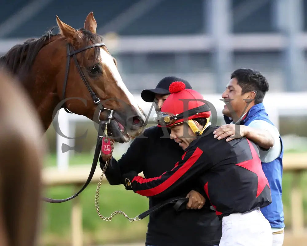 Laughing Boy - 111624 Race 10 Cd Come Back 02 Churchill Downs