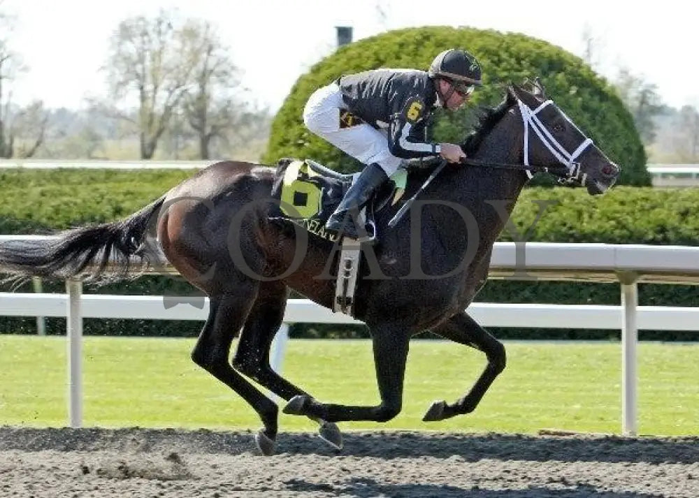 Leander - 5 101611 Race 01 Keeneland