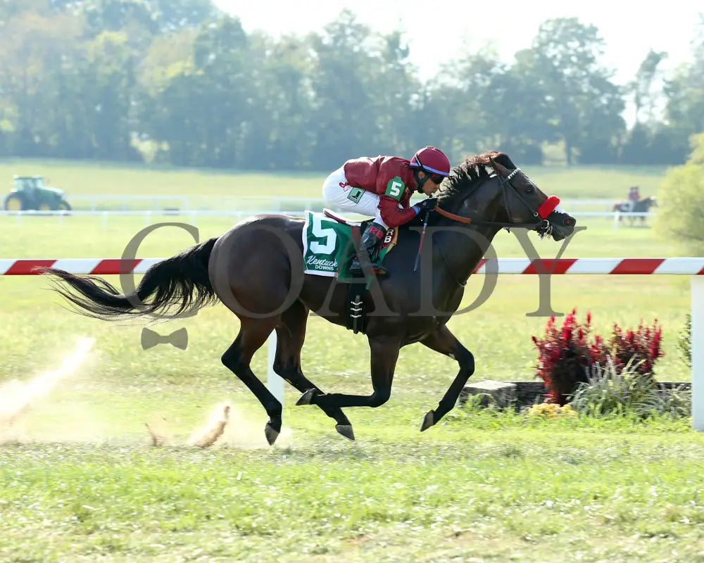 Legends Of War - Nevada State Bank Franklin-Simpson Stakes G3 3Rd Running 09-12-19 R09 Kd Finish 01