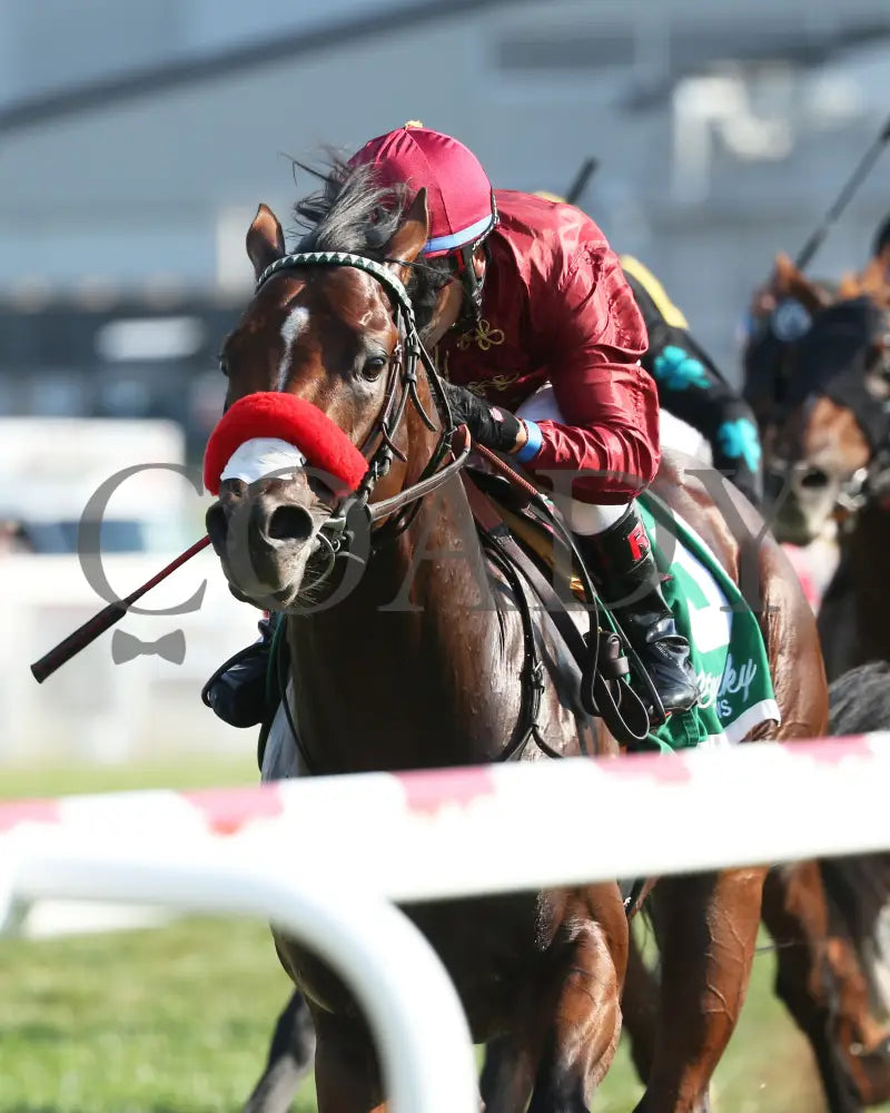 Legends Of War - Nevada State Bank Franklin-Simpson Stakes G3 3Rd Running 09-12-19 R09 Kd Inside