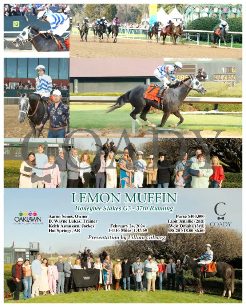 Lemon Muffin - Honeybee Stakes G3 37Th Running 02-24-24 R09 Op Oaklawn Park