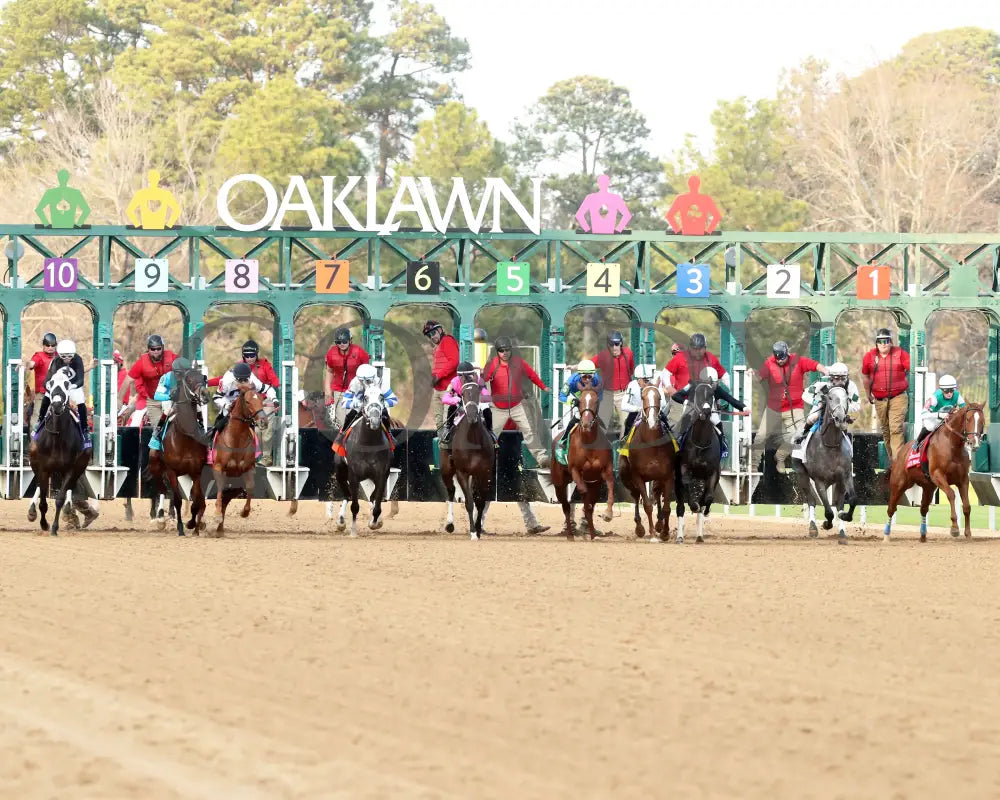 Lemon Muffin - Honeybee Stakes G3 37Th Running 02-24-24 R09 Op Start 02 Oaklawn Park