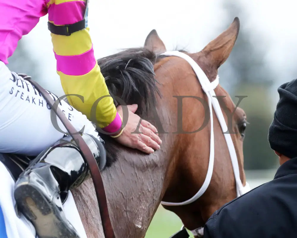 Leslie’s Rose - Central Bank Ashland Stakes 04 - 05 - 24 R09 Kee Come Back 02 Keeneland