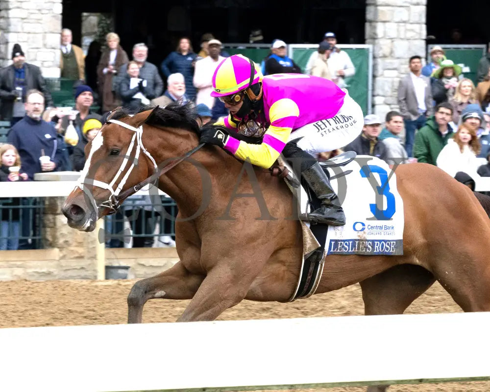 Leslie’s Rose - Central Bank Ashland Stakes 04 - 05 - 24 R09 Kee Inside Finish 02 Keeneland