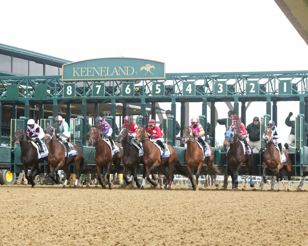 Leslie’s Rose - Central Bank Ashland Stakes 04 - 05 - 24 R09 Kee Under Rail Start 01 Keeneland