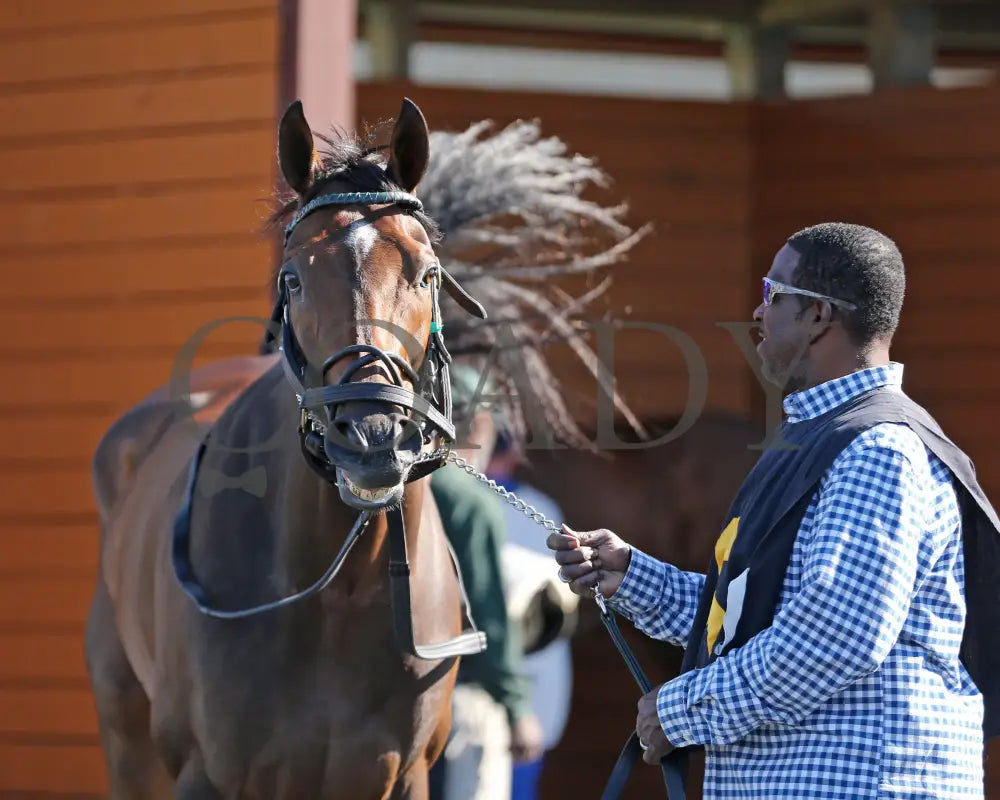 Let My People Go - The Karl Boyes Stakes 18Th Running 07-01-24 R07 Pid Paddock 02 Presque Isle Downs