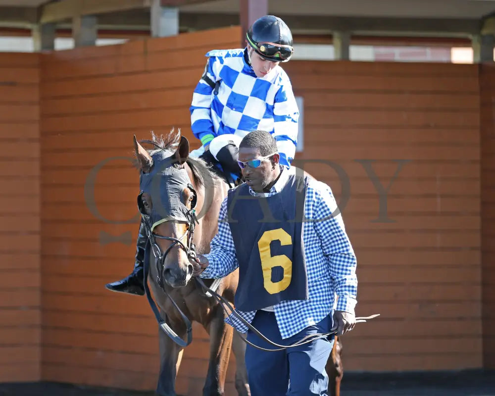 Let My People Go - The Karl Boyes Stakes 18Th Running 07-01-24 R07 Pid Paddock 03 Presque Isle Downs