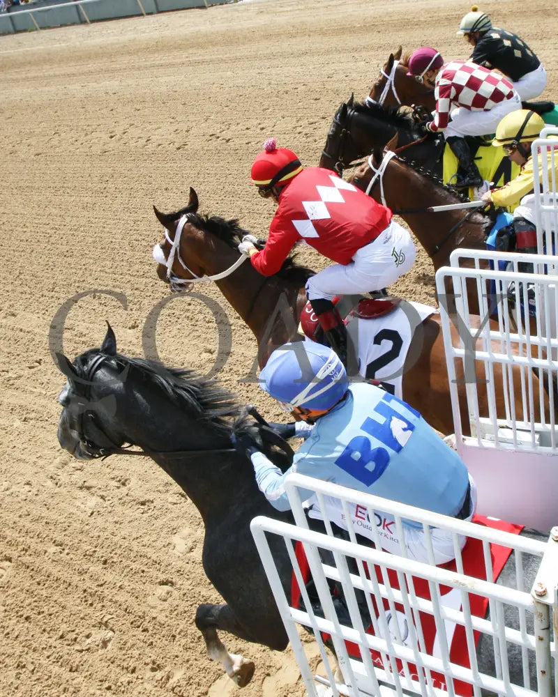 Letruska - The Apple Blossom G1 58Th Running 04-23-22 R05 Op Remote Gate 01 Oaklawn Park