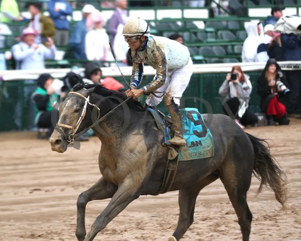 LIBERAL ARTS - The Knicks Go Overnight Stakes - 05-03-25 - R04 - CD - Inside Finish 04 Churchill Downs