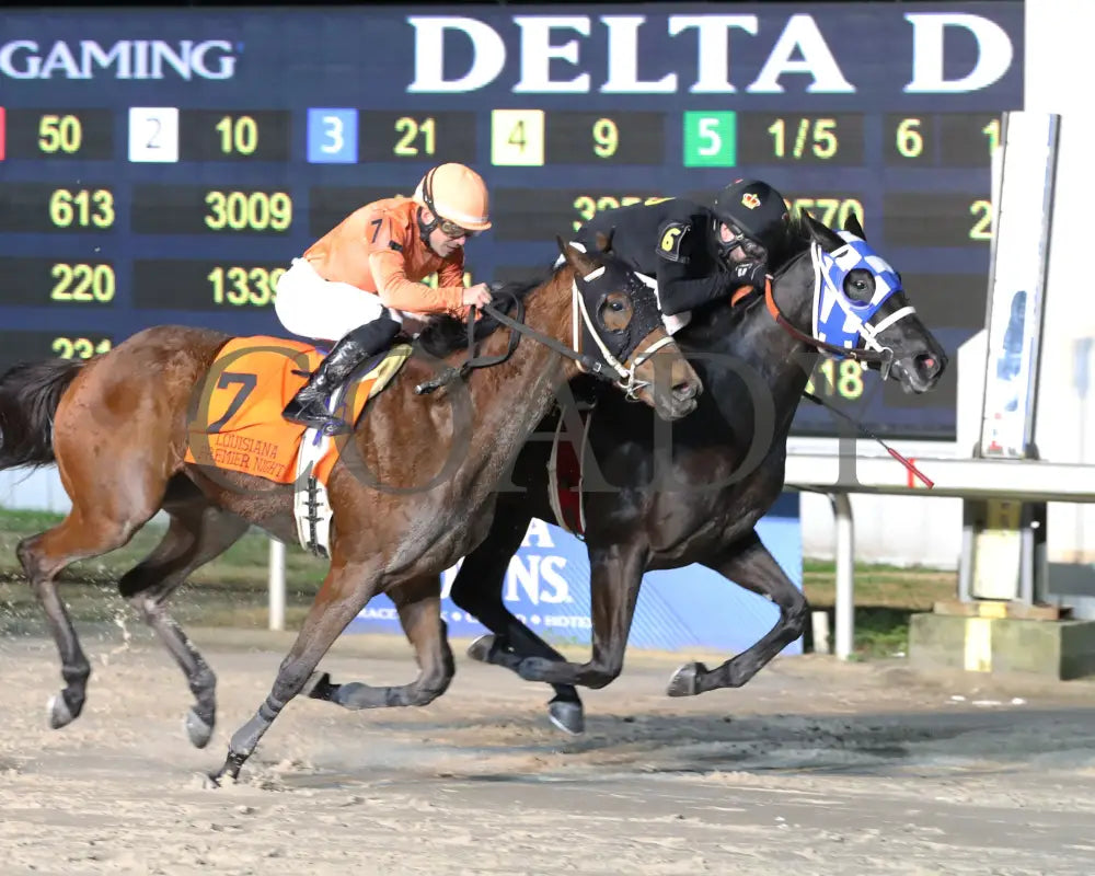 Lightofmaine - La Bred Premier Starlet Stakes 02-03-24 R08 Delta Downs Finish