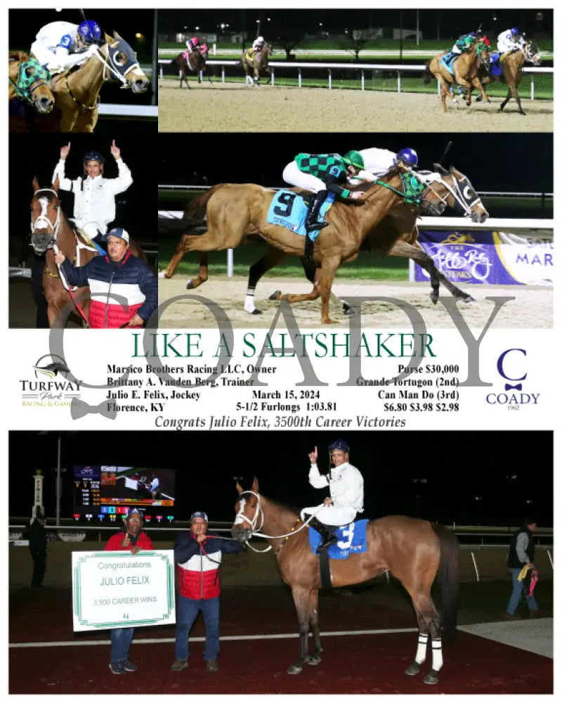 Like A Saltshaker - 03 - 15 - 24 R06 Tp Turfway Park