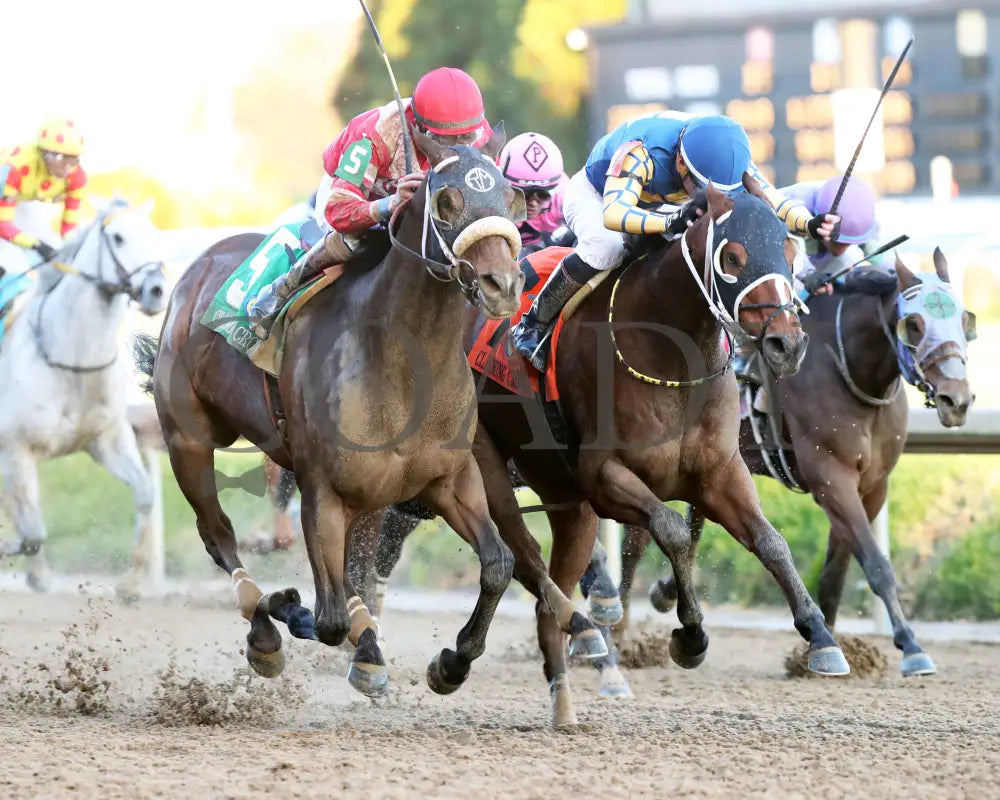 Like A Saltshaker - 111624 Race 09 Cd Finish 02 Churchill Downs