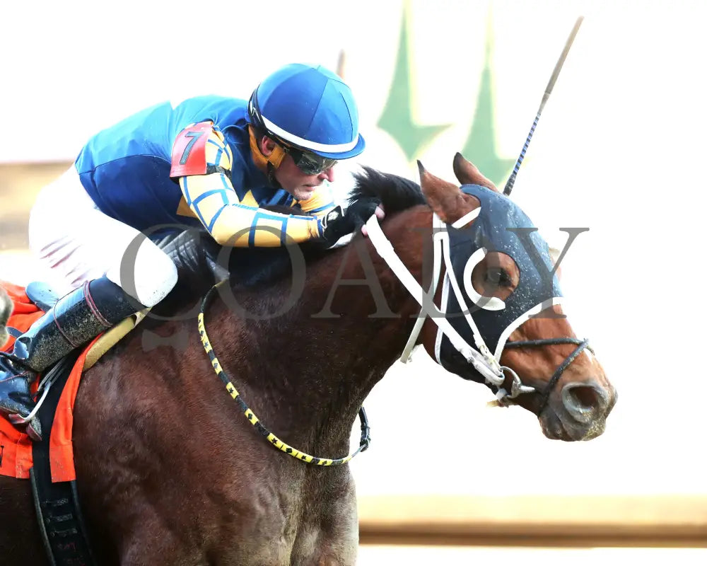 Like A Saltshaker - 111624 Race 09 Cd Tight Finish 01 Churchill Downs