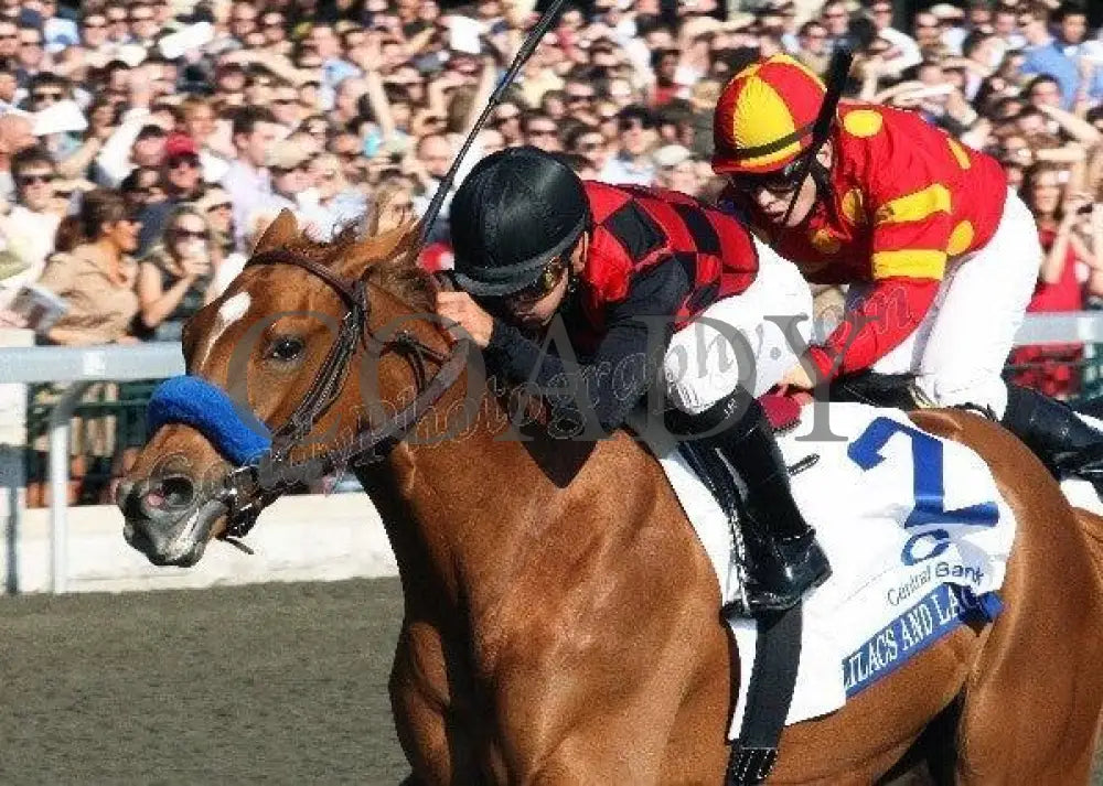 Lilacs And Lace - Inside The Central Bank Ashl Keeneland