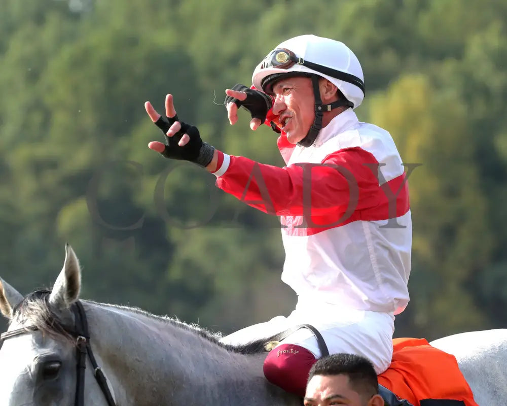 Limited Liability - The Blackwood Distilling Nashville Gold Cup 1St Running 09-11-24 R08 Kd Come