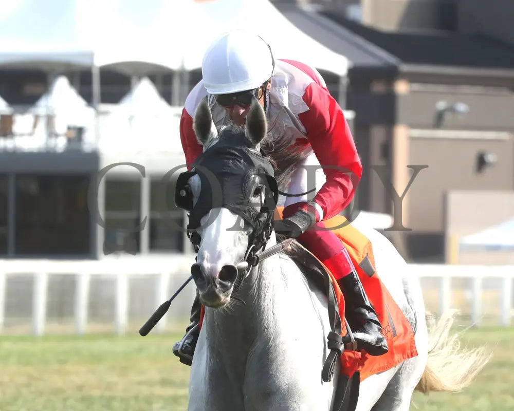 Limited Liability - The Blackwood Distilling Nashville Gold Cup 1St Running 09-11-24 R08 Kd Inside