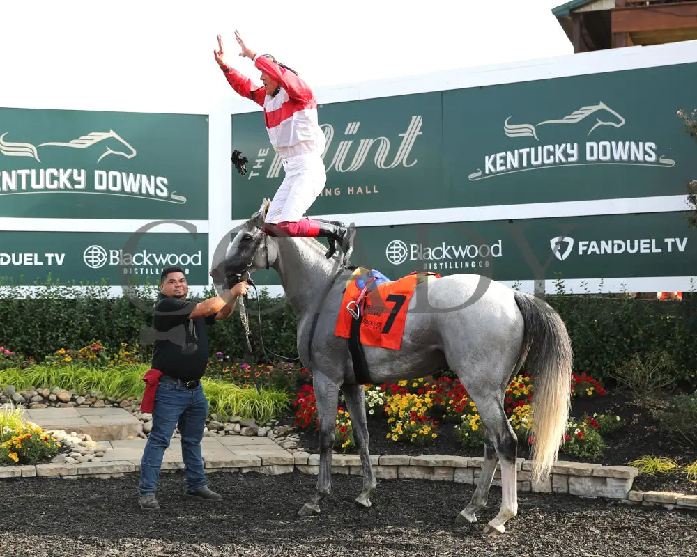 Limited Liability - The Blackwood Distilling Nashville Gold Cup 1St Running 09-11-24 R08 Kd