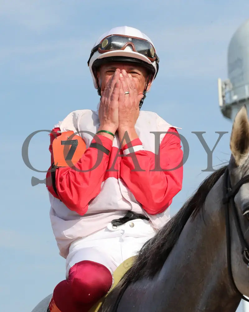 Limited Liability - The Blackwood Distilling Nashville Gold Cup 1St Running 09-11-24 R08 Kd