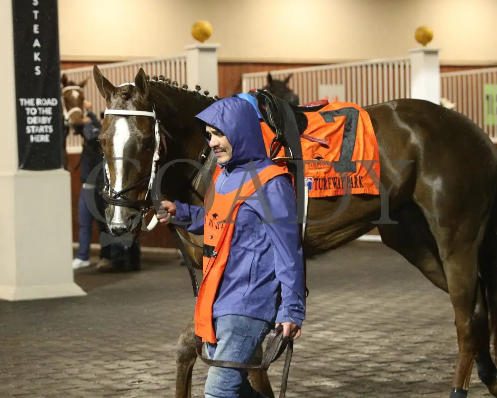 LITHE SPIRIT - The 29th Running of THE QUEEN - 03-15-25 - R06 - TP - Paddock 01 - Coady Media - Kurtis Coady Photography