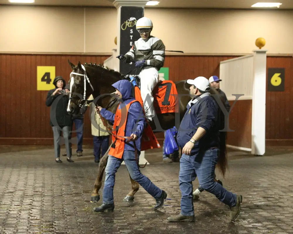 LITHE SPIRIT - The 29th Running of THE QUEEN - 03-15-25 - R06 - TP - Paddock 02 - Coady Media - Kurtis Coady Photography