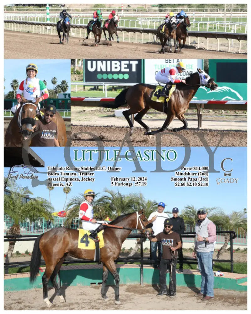 Little Casino - 02-12-24 R08 Tup Turf Paradise