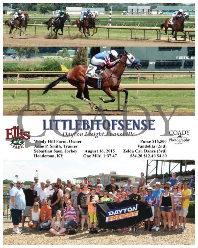 Littlebitofsense - 081615 Race 04 Elp Group Ellis Park