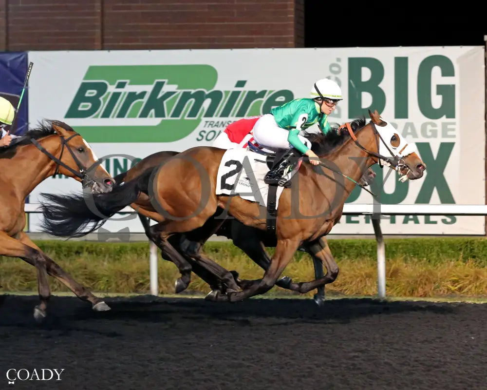 LIVE STREAM - The Fitz Dixon, Jr. Memorial Juvenile Stakes - 09-19-25 - R07 - PID - Finish 01 - Coady Media - Kurtis Coady Photography