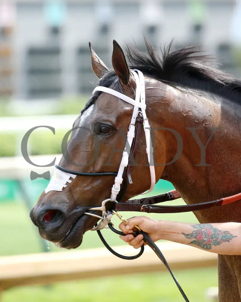 Lone Rock - Isaac Murphy Marathon Overnight S. 04-27-21 R08 Cd Come Back 02 Churchill Downs