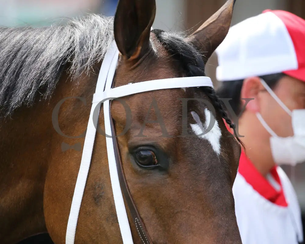 Lone Rock - Isaac Murphy Marathon Overnight S. 04-27-21 R08 Cd Paddock 02 Churchill Downs