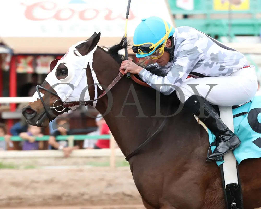 Love My Jimmy - Phoenix Gold Cup 03 - 14 - 24 R08 Turf Paradise Inside Finish