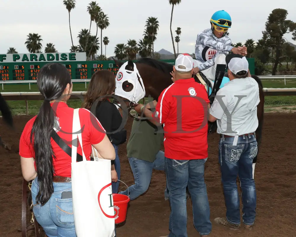 Love My Jimmy - Phoenix Gold Cup 03 - 14 - 24 R08 Turf Paradise Return Shot
