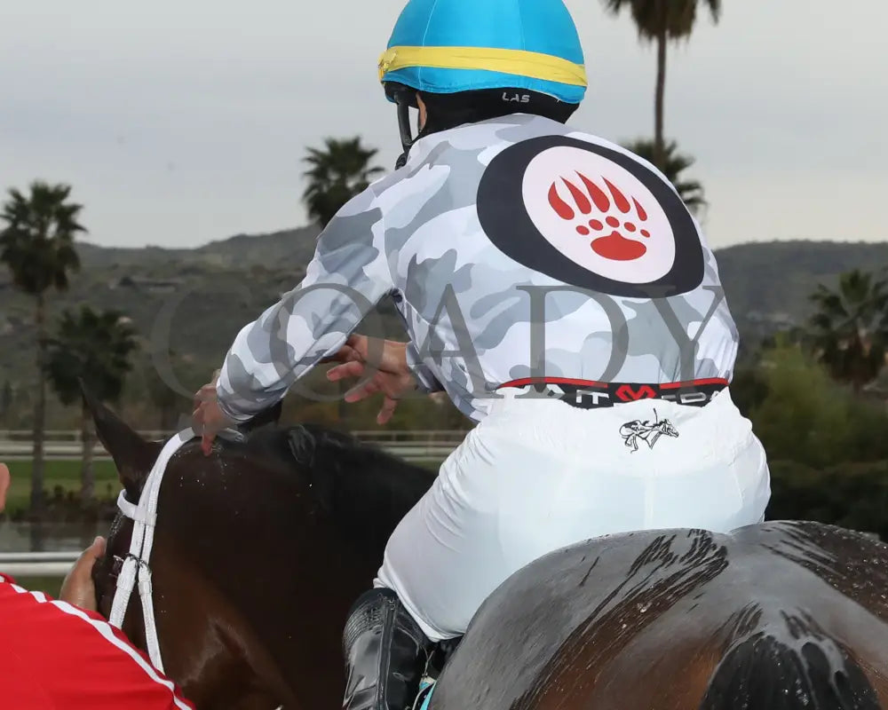 Love My Jimmy - Phoenix Gold Cup 03 - 14 - 24 R08 Turf Paradise Silks