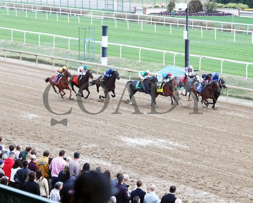 Loved - The Falls City G3 109Th Running 11-28-24 R09 Cd Aerial Start 01 Churchill Downs
